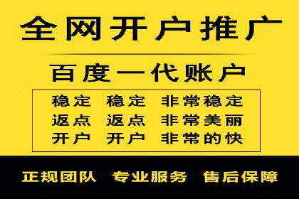 百度品牌专区推广的成效与案例