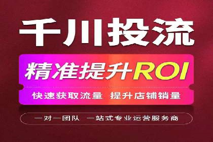 SEM搜索引擎优化策略解析与应用案例